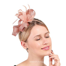 Fascinator Hats for Women Tea Party Wedding Headband Feather Cocktail Headwear Hair Clip for Girls
Fascinator Hats for Women Tea Party Wedding Headband Feather Cocktail Headwear Hair Clip for Girls 